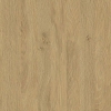 Stone Oak