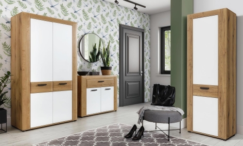 Meble do salonu Besto