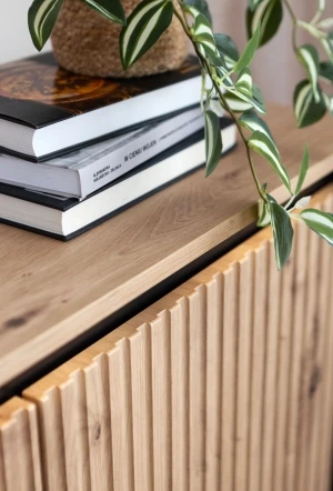 Dąb artisan komoda Trend TR-03 Lenart Meble 7