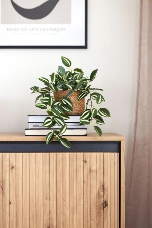 Dąb artisan komoda Trend TR-03 Lenart Meble 8