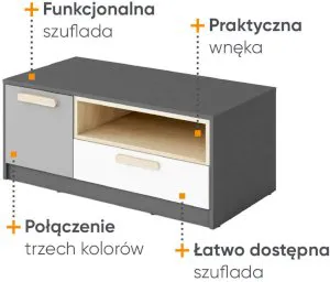 Szafka RTV 100 Pok PO-11 Lenart Meble 2