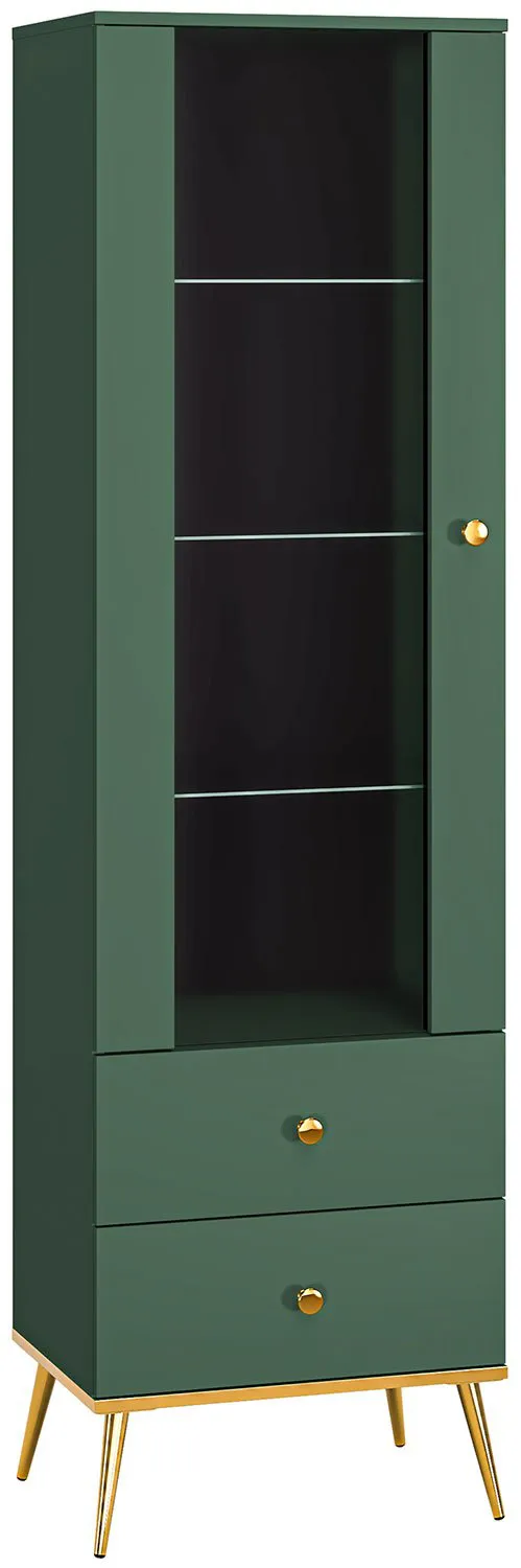 Witryna jednodrzwiowa Forest 01 ML Meble