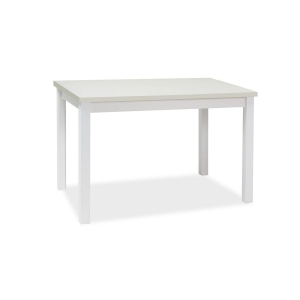 Stół adam biały mat 100x60