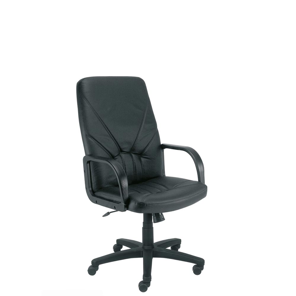 meble gabinetowe MANAGER meble gabinetowe MANAGER